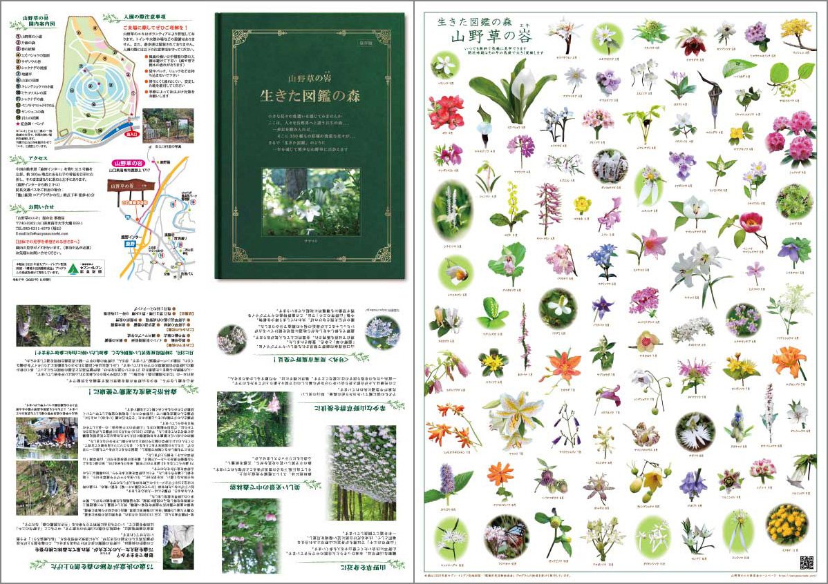 山野草の谷 生きた図鑑の森